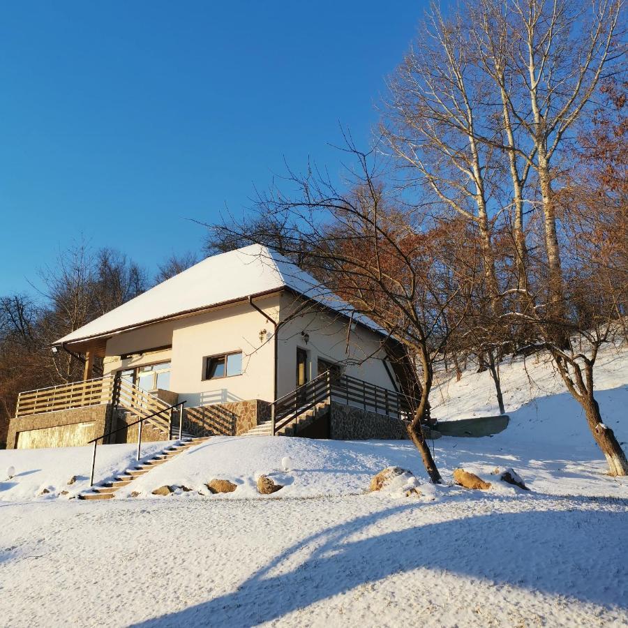 Provence Suceava Hotel Luaran gambar