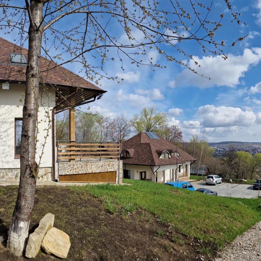 Provence Suceava Hotel Luaran gambar