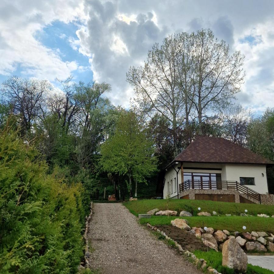 Provence Suceava Hotel Luaran gambar