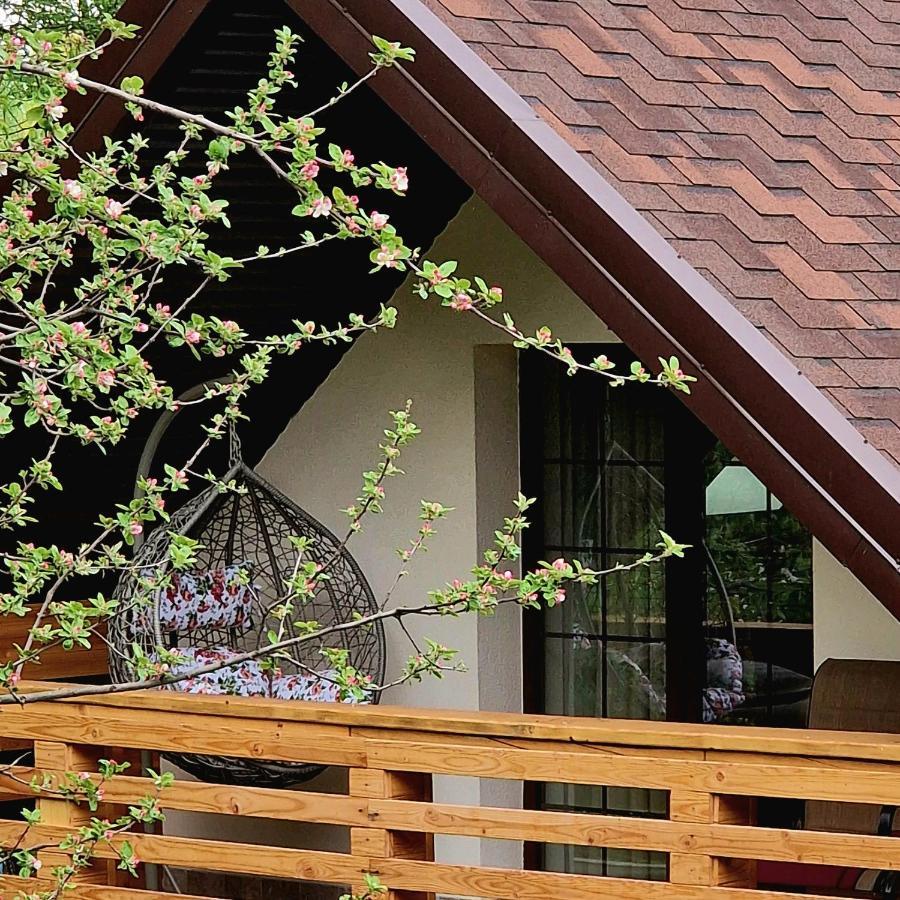 Provence Suceava Hotel Luaran gambar