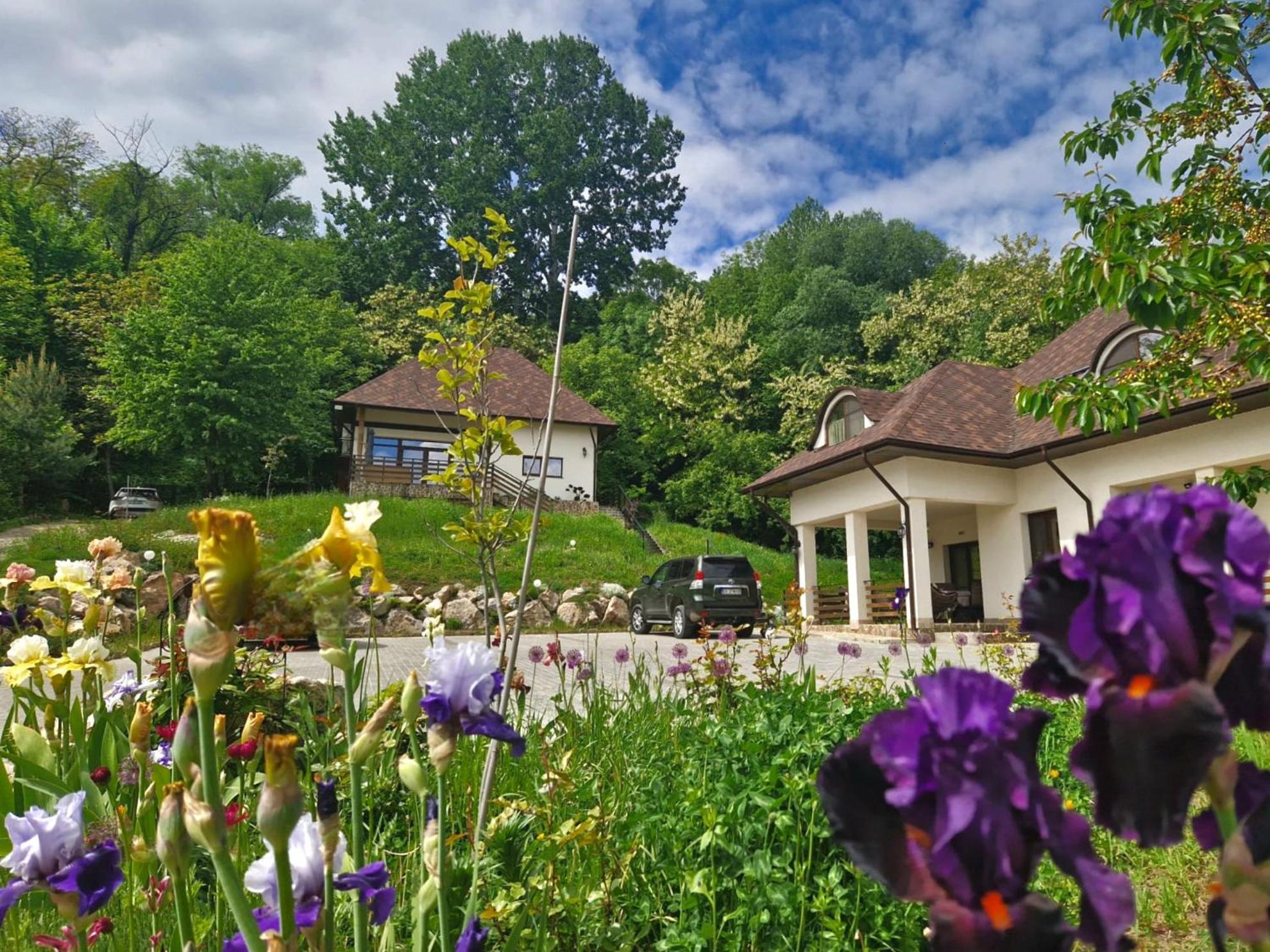 Provence Suceava Hotel Luaran gambar