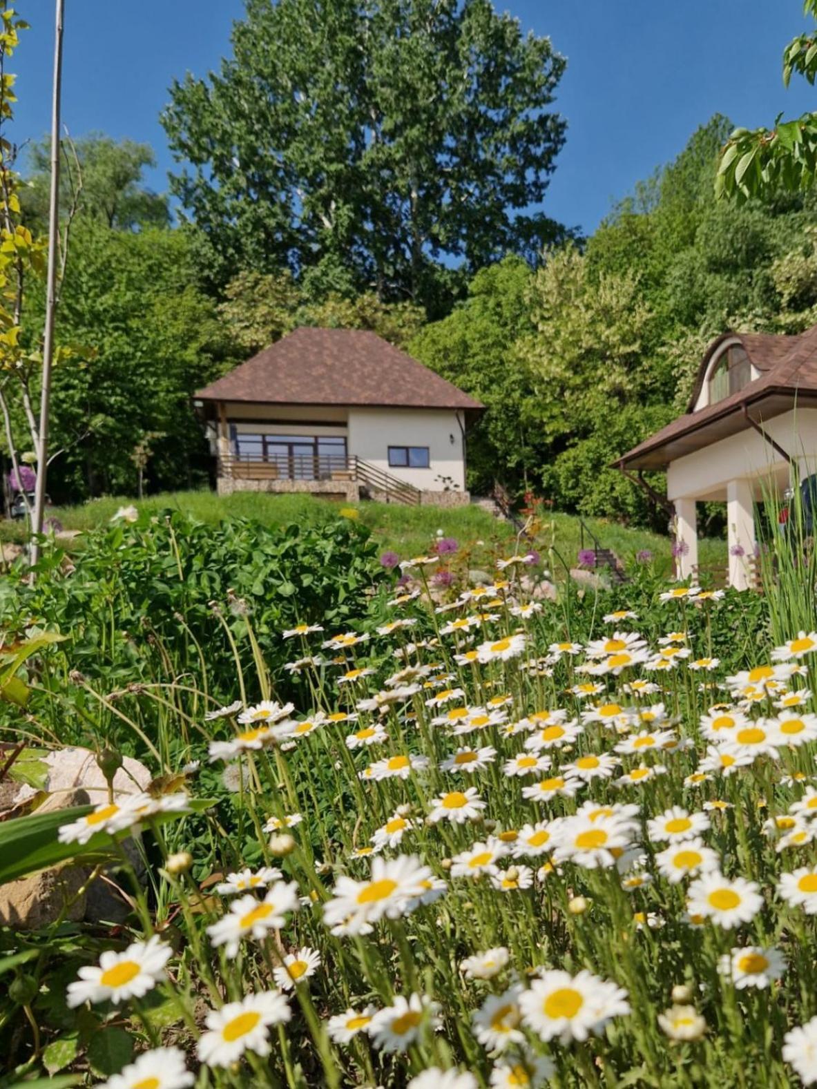 Provence Suceava Hotel Luaran gambar